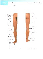 Sobotta  Atlas of Human Anatomy  Trunk, Viscera,Lower Limb Volume2 2006, page 269
